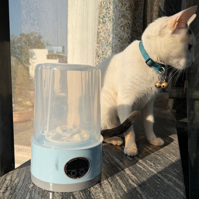 Product photo from Bhakti Grover